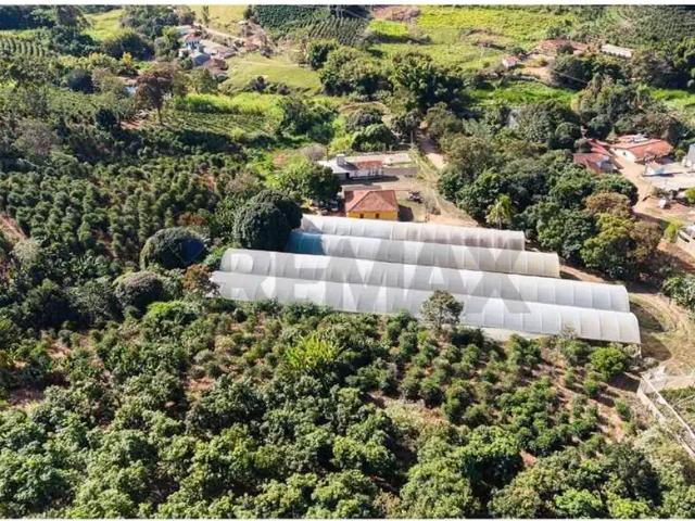 Sítio e chácara venda em Região Imediata de Amparo, Serra Negra