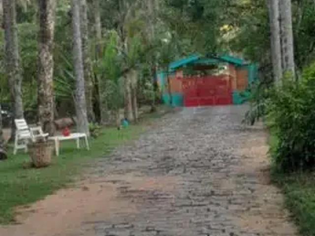 Sítio e chácara venda em Região Imediata de Amparo, Serra Negra