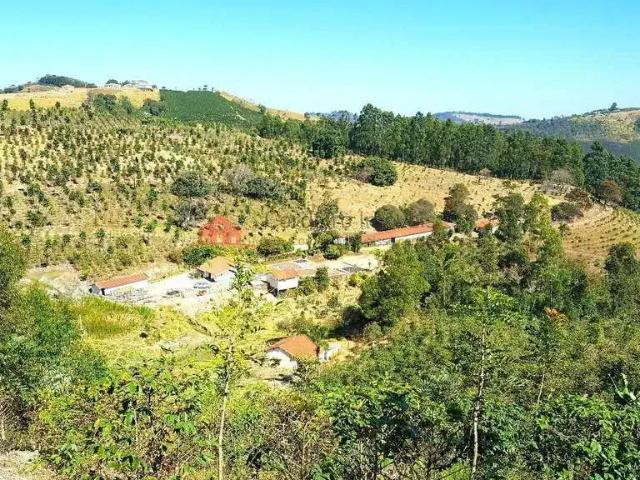 Sítio e chácara venda em Região Imediata de Amparo, Serra Negra