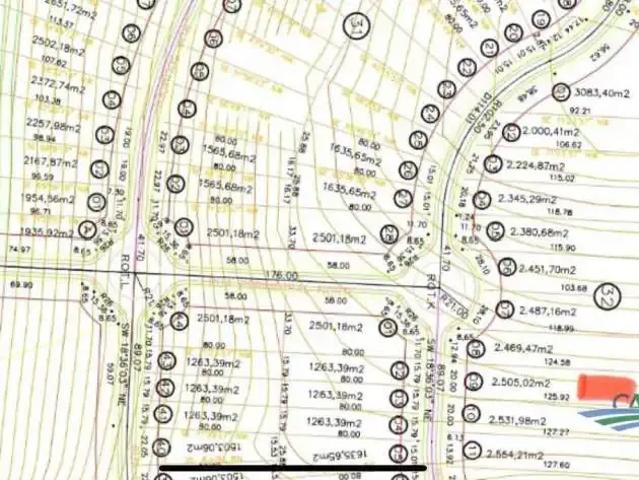 Sítio e chácara venda em Região Geográfica Imediata de Londrina, Sertanópolis