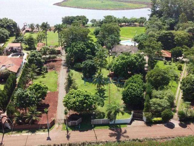Sítio e chácara venda em Região Geográfica Imediata de Londrina, Sertanópolis