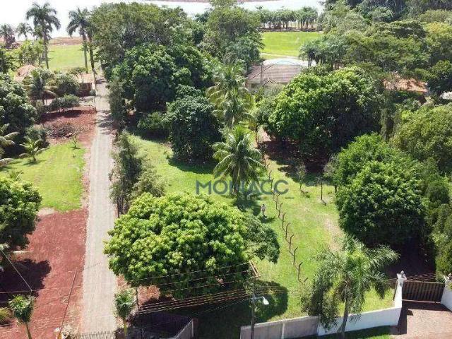 Sítio e chácara venda em Região Geográfica Imediata de Londrina, Sertanópolis