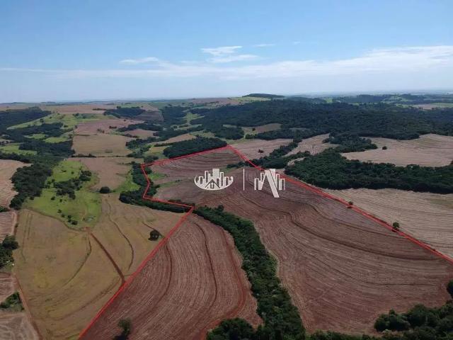 Sítio e chácara venda em Região Geográfica Imediata de Londrina, Sertanópolis