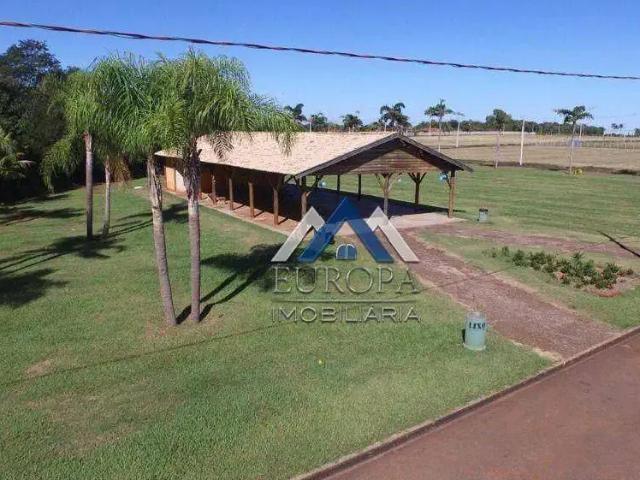 Sítio e chácara venda em Sertanópolis, Paraná