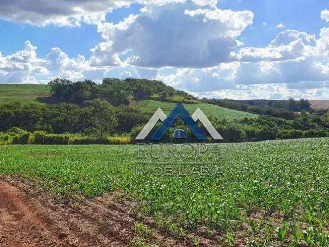 Sítio e chácara venda em Região Geográfica Imediata de Londrina, Sertanópolis