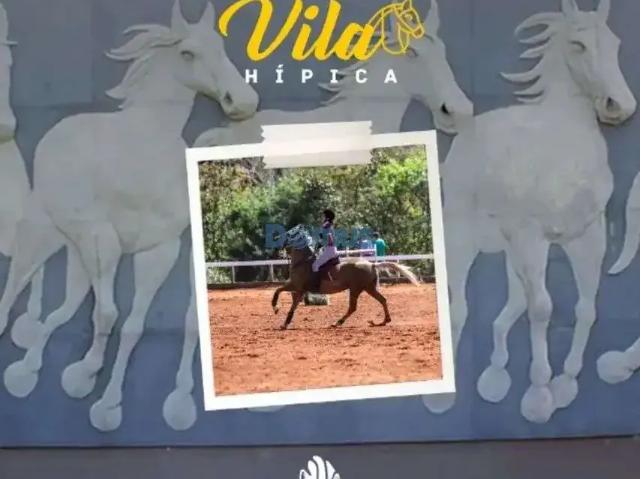 Sítio e chácara venda em Região Geográfica Imediata de Londrina, Sertanópolis