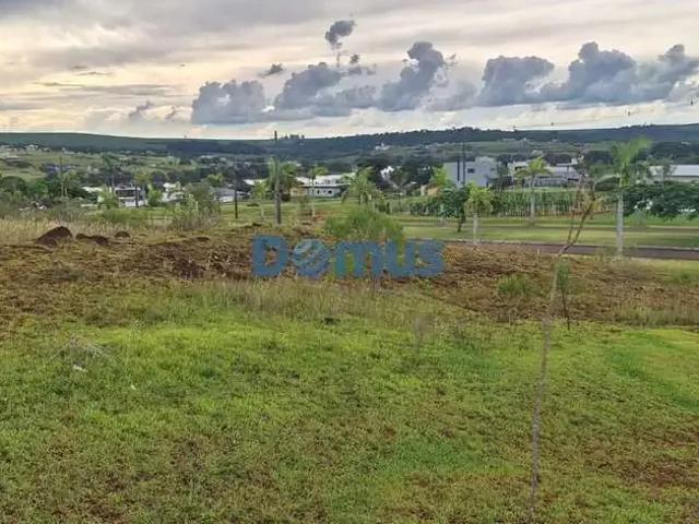 Sítio e chácara venda em Região Geográfica Imediata de Londrina, Sertanópolis