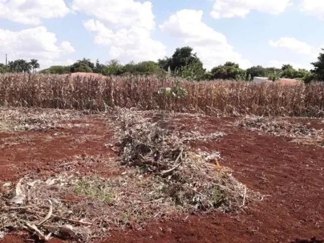 Sítio e chácara venda em Região Geográfica Imediata de Londrina, Sertanópolis
