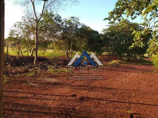 Sítio e chácara venda em Região Geográfica Imediata de Londrina, Sertanópolis