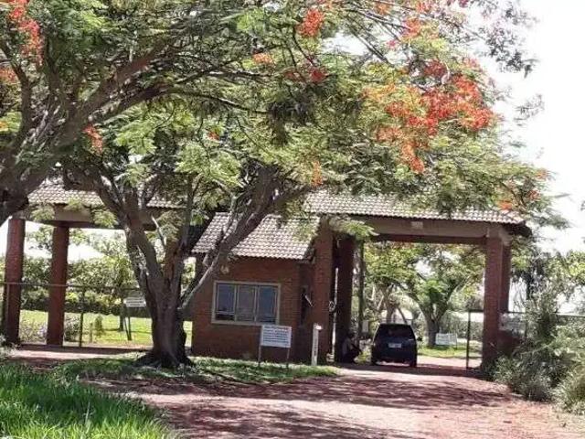 Sítio e chácara venda em Região Geográfica Imediata de Londrina, Sertanópolis