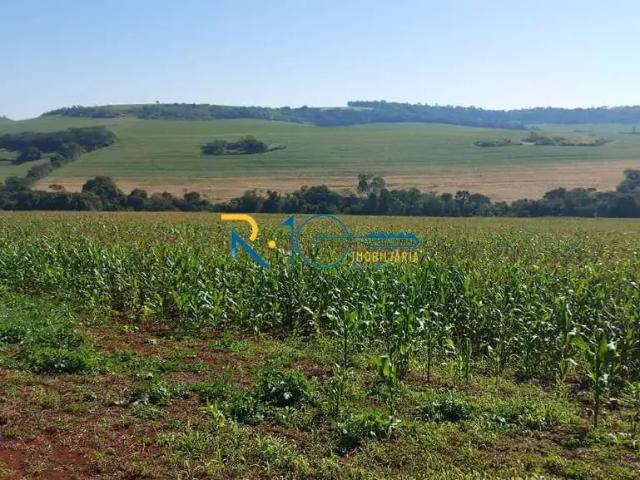 Sítio e chácara venda em Sertanópolis, Região Geográfica Intermediária de Londrina