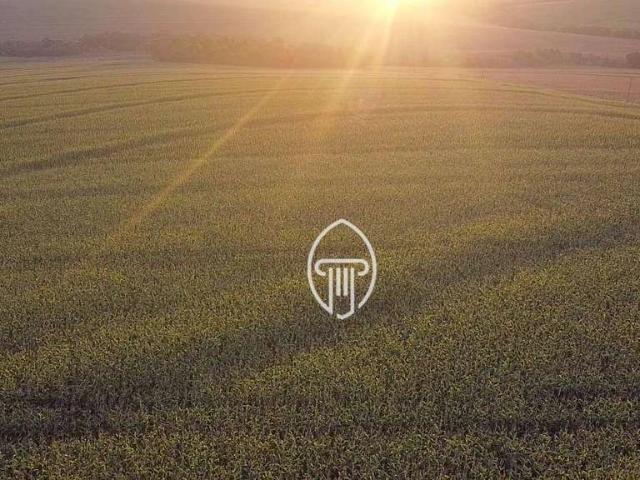 Sítio e chácara venda em Região Geográfica Imediata de Londrina, Sertanópolis
