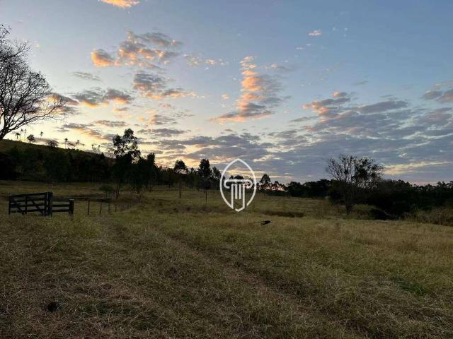 Sítio e chácara venda em Região Geográfica Imediata de Londrina, Sertanópolis