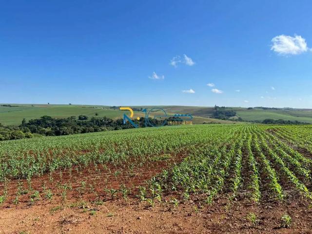 Sítio e chácara venda em Sertanópolis, Região Geográfica Intermediária de Londrina