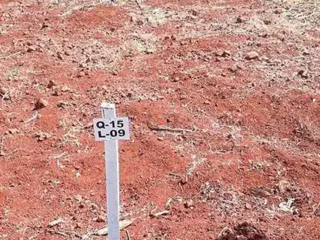 Sítio e chácara venda em Região Geográfica Imediata de Londrina, Sertanópolis