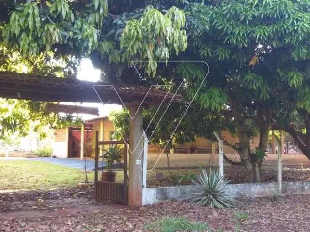Sítio e chácara venda em Região Geográfica Imediata de Londrina, Sertanópolis