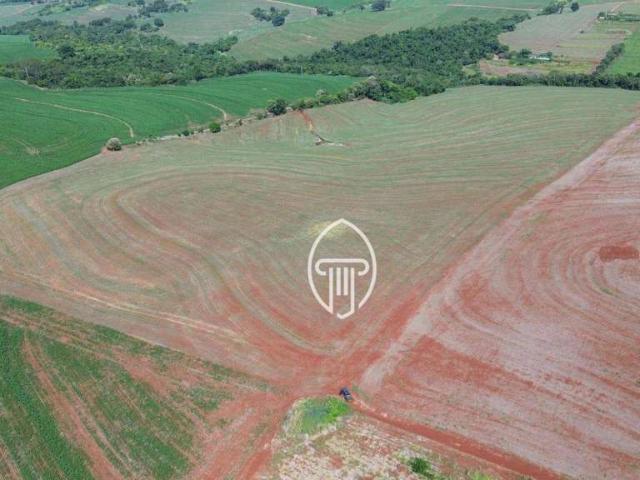 Sítio e chácara venda em Região Geográfica Imediata de Londrina, Sertanópolis