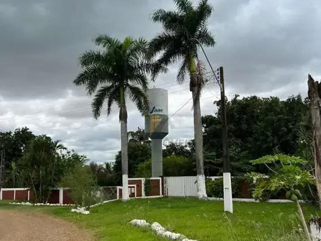 Sítio e chácara venda em Sertanópolis, Região Geográfica Intermediária de Londrina