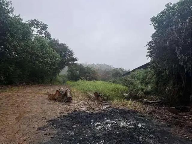 Sítio e chácara venda em Região Geográfica Imediata de Criciúma, Siderópolis