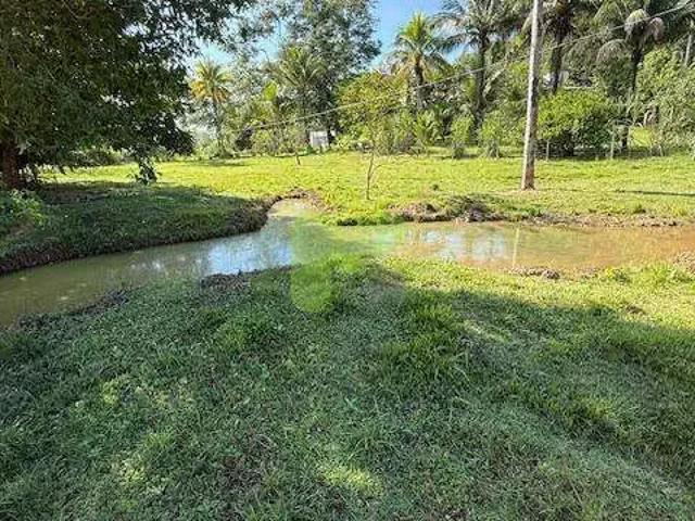 Sítio e chácara venda em Região Geográfica Imediata de Rio Bonito, Silva Jardim