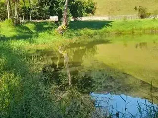 Sítio e chácara venda em Região Geográfica Imediata de Rio Bonito, Silva Jardim