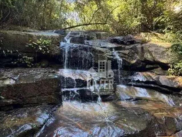 Sítio e chácara venda em Região Geográfica Imediata de Rio Bonito, Silva Jardim