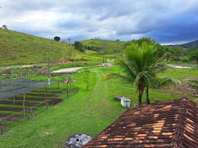 Sítio e chácara venda em Silva Jardim