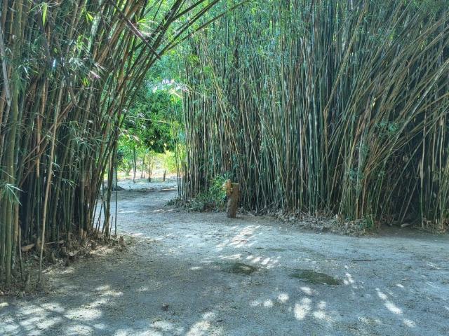 Sítio e chácara venda em Silva Jardim