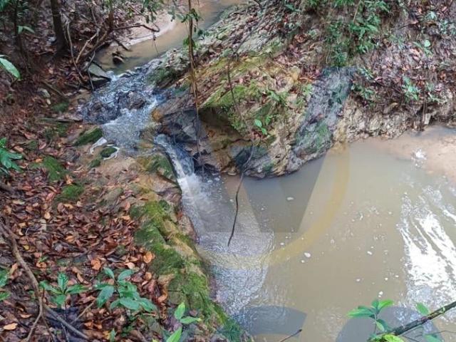 Sítio e chácara venda em Silvânia, Região Geográfica Intermediária de Goiânia