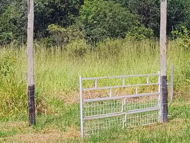 Sítio e chácara venda em Região Geográfica Imediata de Anápolis, Silvânia