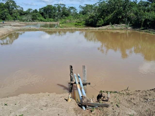 Sítio e chácara venda em Silvânia, Região Geográfica Intermediária de Goiânia