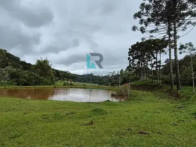 Sítio e chácara venda em Região Imediata de Cruzeiro, Região Metropolitana do Vale do Paraíba e Litoral Norte