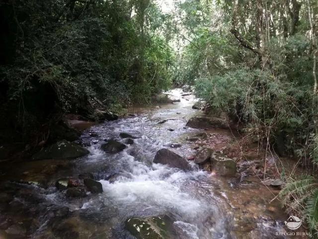 Sítio e chácara venda em Região Imediata de Cruzeiro, Região Metropolitana do Vale do Paraíba e Litoral Norte