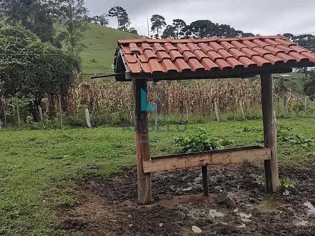 Sítio e chácara venda em Região Imediata de Cruzeiro, Região Metropolitana do Vale do Paraíba e Litoral Norte