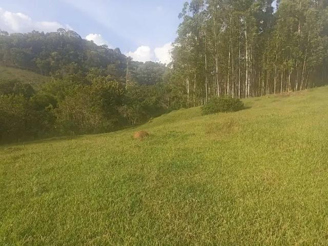 Sítio e chácara venda em Região Geográfica Imediata de Pouso Alegre, Silvianópolis