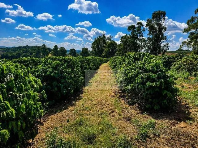 Sítio e chácara venda em Região Geográfica Imediata de Pouso Alegre, Silvianópolis