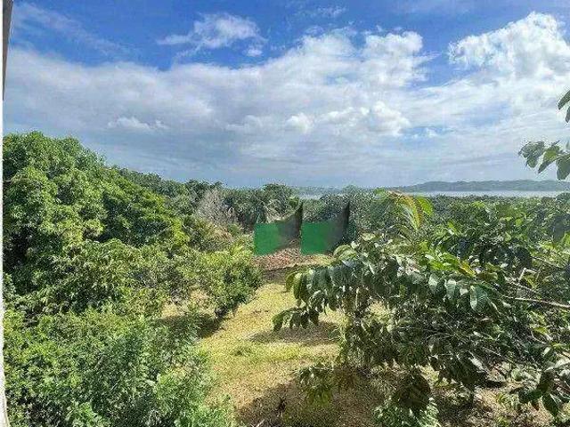 Sítio e chácara venda em Região Geográfica Imediata de Salvador, Região Metropolitana de Salvador