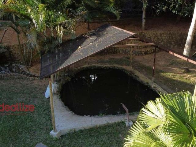 Sítio e chácara venda em Região Geográfica Imediata de Manhuaçu, Simonésia