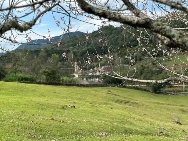Sítio e chácara venda em Região Geográfica Imediata de Montenegro, Salvador do Sul