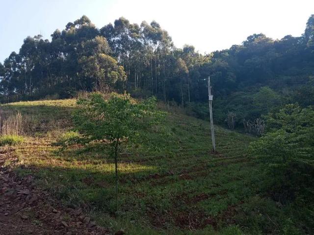 Sítio e chácara venda em Região Geográfica Imediata de Santa Cruz do Sul, Sinimbu