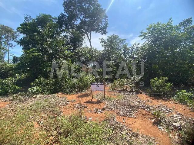 Sítio e chácara venda em Região Geográfica Imediata de Sinop, Sinop