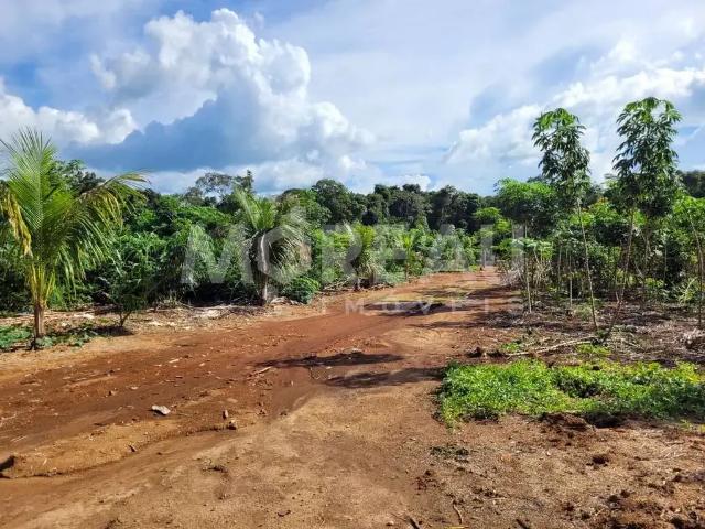 Sítio e chácara venda em Região Geográfica Imediata de Sinop, Sinop