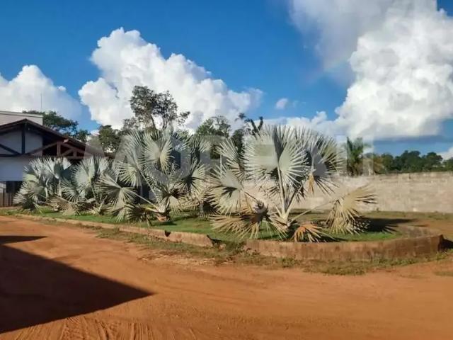 Sítio e chácara venda em Região Geográfica Imediata de Sinop, Sinop