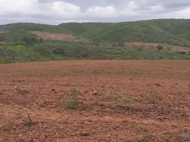 Sítio e chácara venda em Sítio do Quinto, Região Nordeste