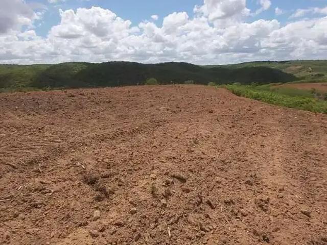 Sítio e chácara venda em Sítio do Quinto, Região Nordeste