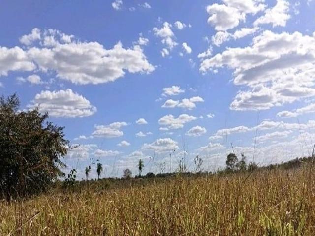 Sítio e chácara venda em Sítio Novo, Região Geográfica Intermediária de Imperatriz