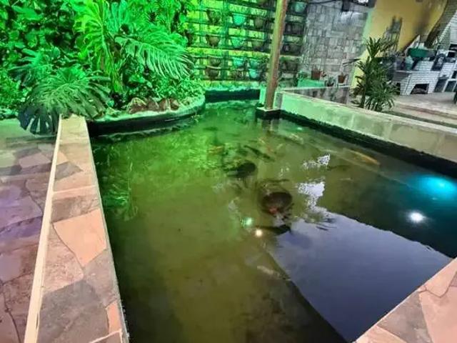 Sítio e chácara venda em Região Imediata de São José do Rio Pardo-Mococa, Região Metropolitana de Ribeirão Preto