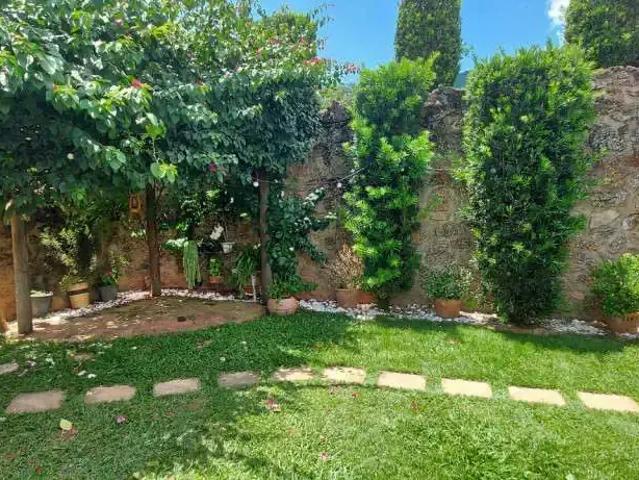 Sítio e chácara venda em Socorro