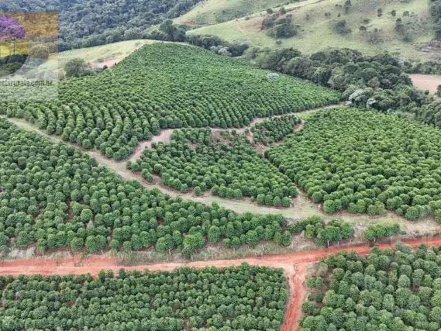 Sítio e chácara venda em Região Imediata de São Paulo, Região Metropolitana de São Paulo