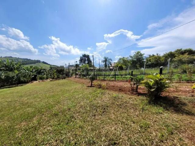 Sítio e chácara venda em Lauzane Paulista, Socorro